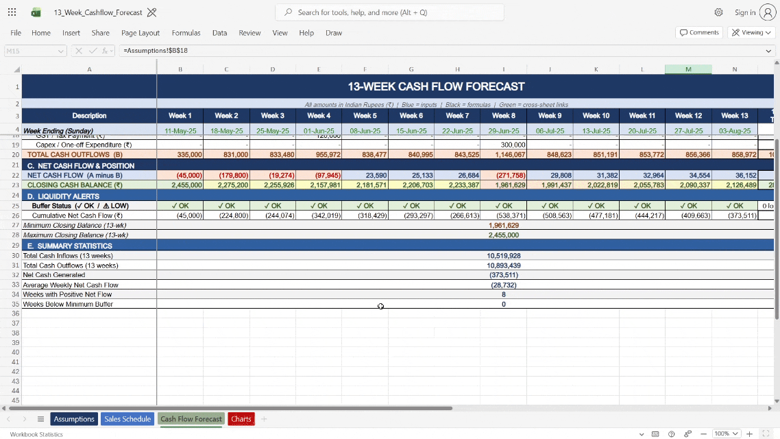 13-Week Cash Flow Forecast Preview